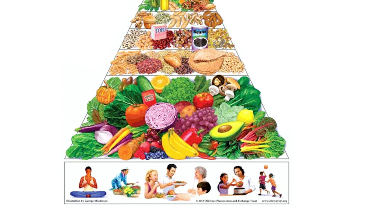 Types of Food and Major Food Groups