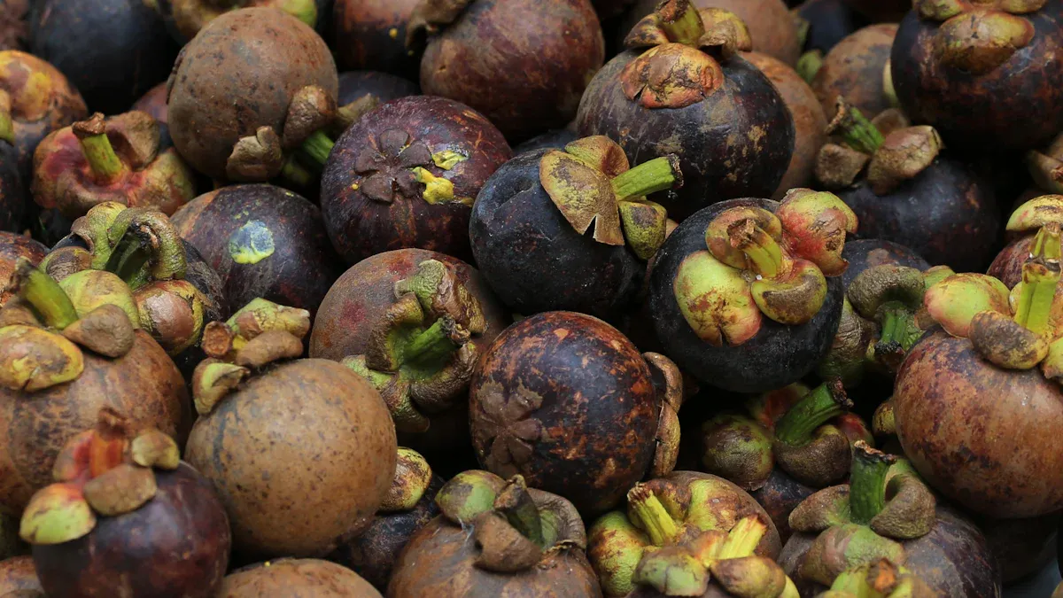 Mangosteen: The Queen of Fruits and 12 Powerful Health Benefits