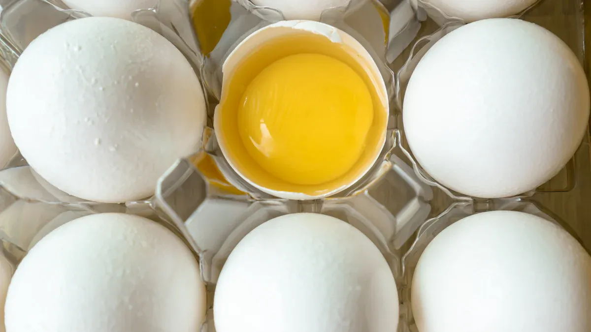 Cholesterol in Eggs: Myths, Facts, and Health Insights