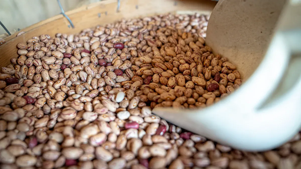 Pinto Beans Nutrition Benefits for Health and Cooking