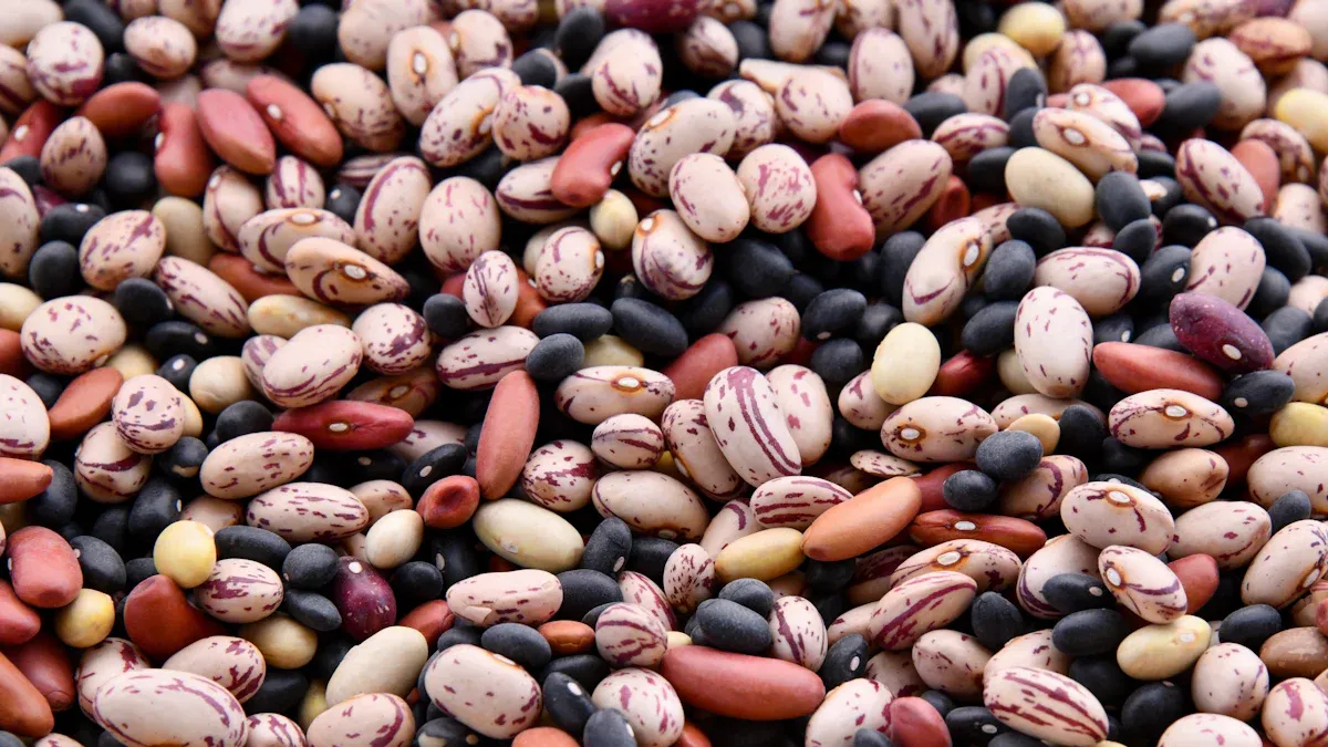 Highest Fiber Beans and Pulses for Better Digestion and Health
