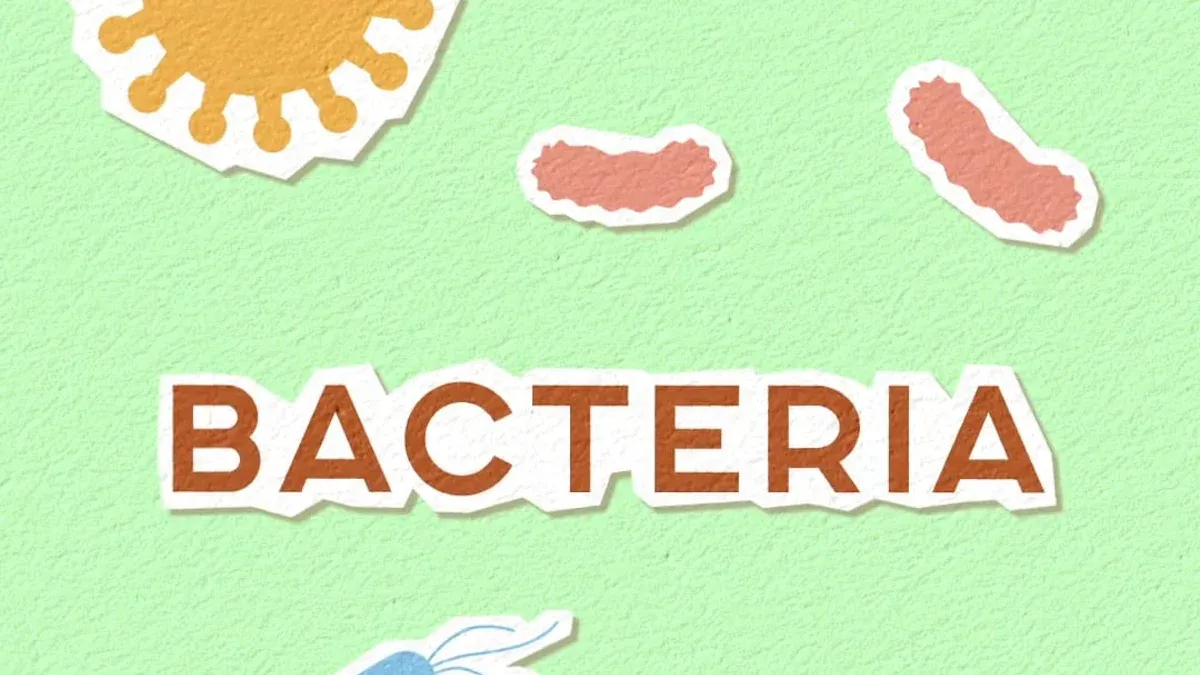 What is Bacterial Vaginosis?