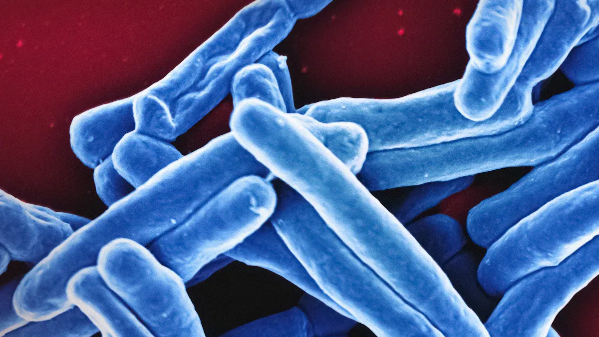 Is Bacterial Vaginosis Contagious?
